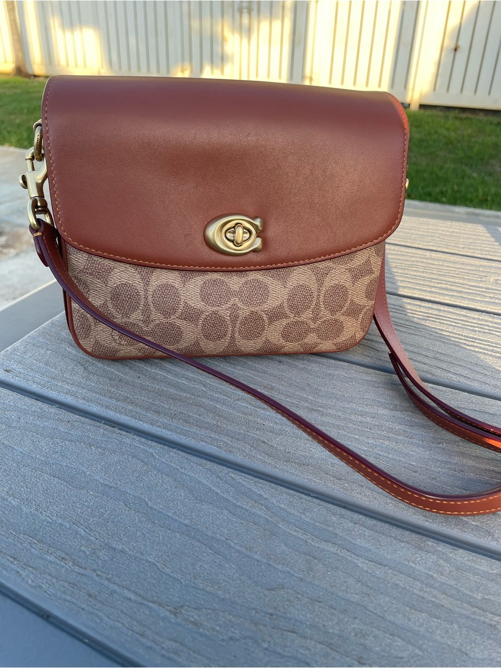 Coach Signature Cassie 19 Crossbody Bag